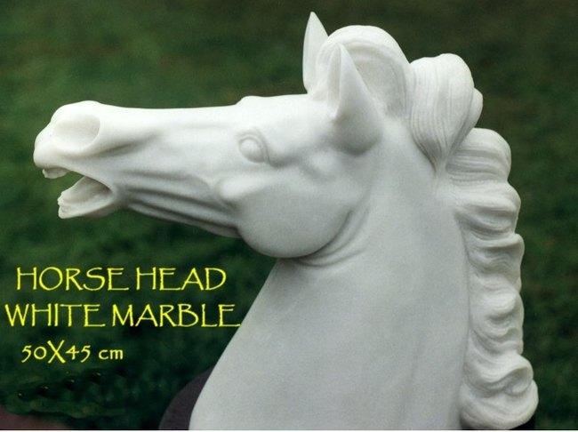 HORSE HEAD