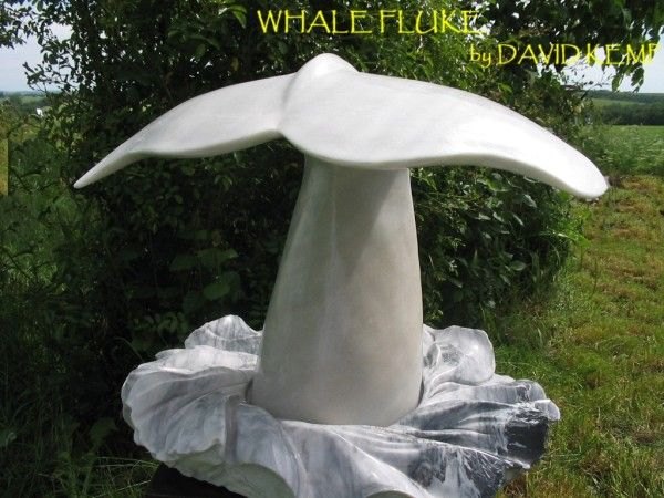 WHALE FLUKE