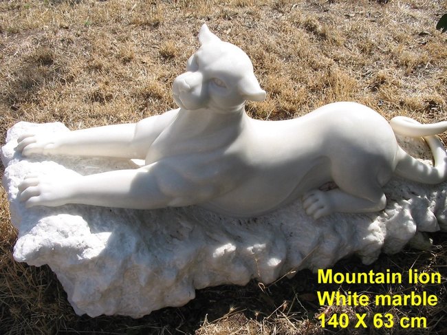 MOUNTAIN LION