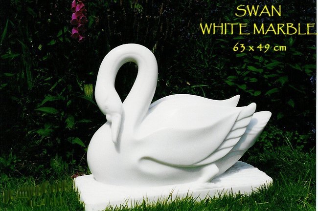 SWAN