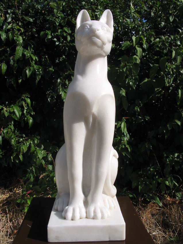SITTING CAT
